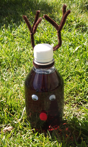 Drink Bottle